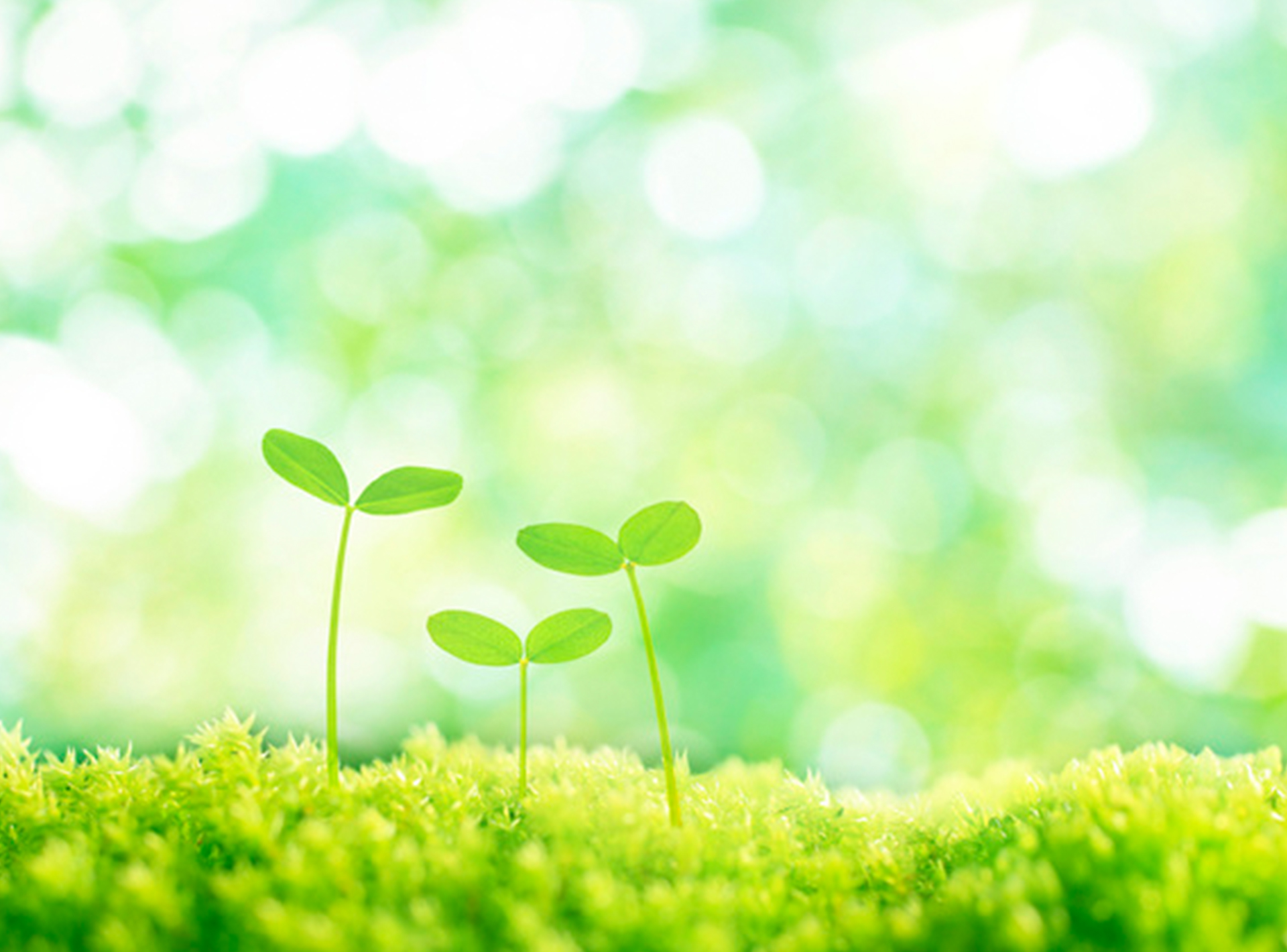 人事部長の企業理念